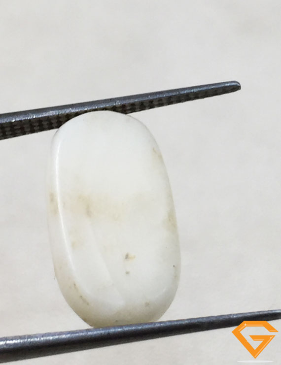 7.60 ratti/6.89 ct Natural Certified  White Coral/सफ़ेद मूंगा